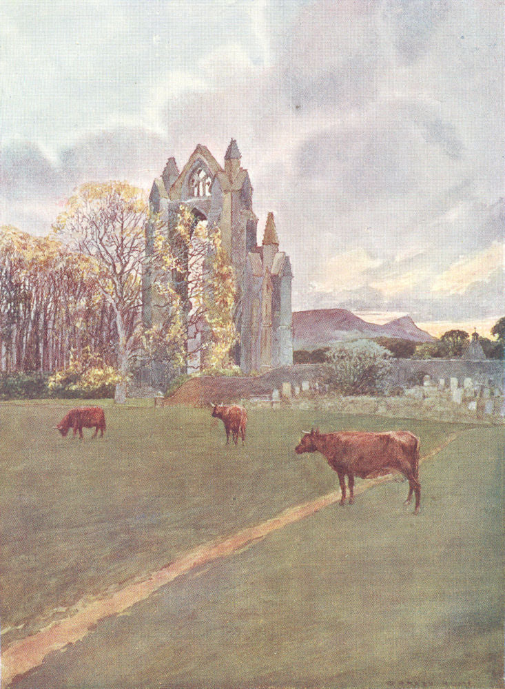 YORKS. An Autumn day at Guisborough 1908 old antique vintage print picture